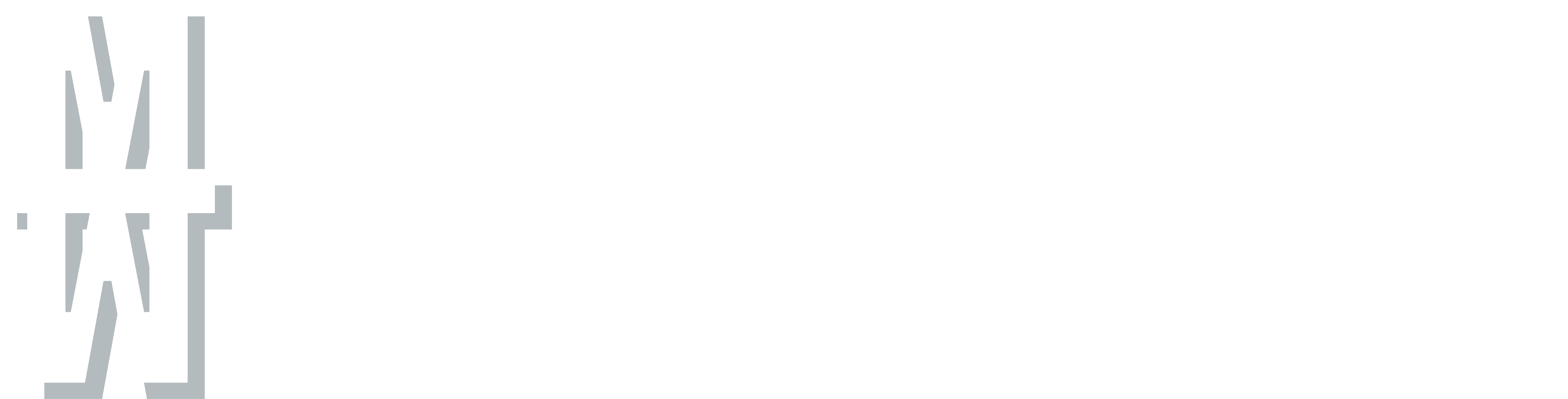 Logo Meyermorch Vit